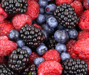 ayahuasca and public health berries ICEERS